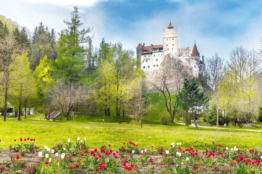 Bucharest: Day Trip to Dracula Castle, Peles Castle & Brașov - Who this tour suits best (and who should skip it)