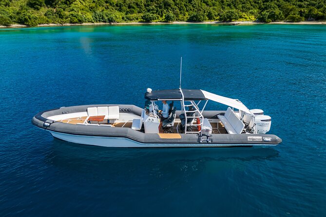 BVI Apotheoseas boat charter 38ft, Full Day / Half day trips - Snorkeling and marine life: what you might actually see