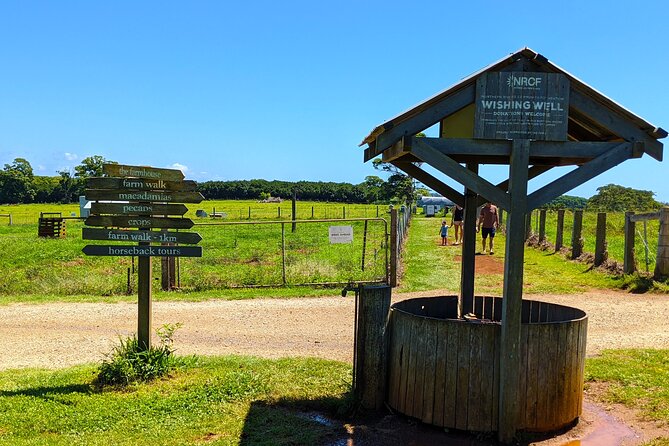 Byron Bay, Bangalow & Gold Coast Day Trip from Brisbane - Byron Bay Town Time: Lunch on Your Terms and Beach Views