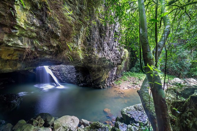 Byron Bay, Bangalow & Gold Coast Day Trip from Brisbane - Optional Byron Bay Wildlife Sanctuary: When Time Allows