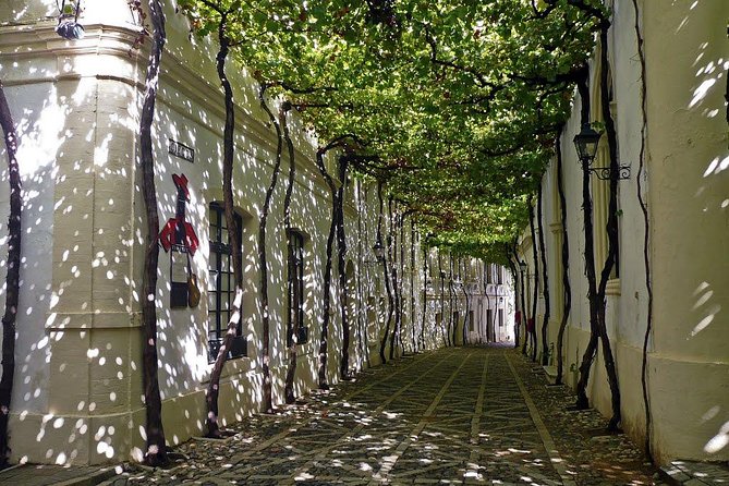 Cadiz and Jerez Day Trip from Seville - Practical Tips That Make This Day Trip Feel Worth It