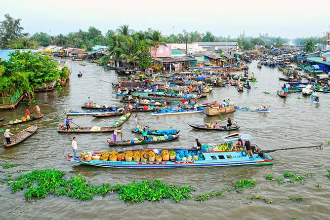 Cai Rang Floating Market & Mekong Delta 2-Day Tour from HCM City - Who Should Book This Mekong Delta Tour
