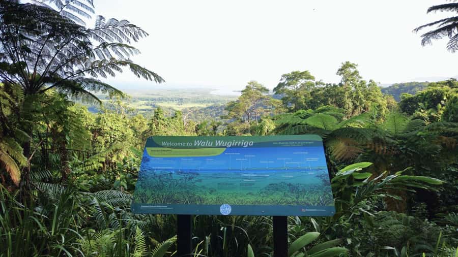 Cairns: Daintree, Mossman Gorge, & Cape Tribulation Day Trip - Key highlights at a glance
