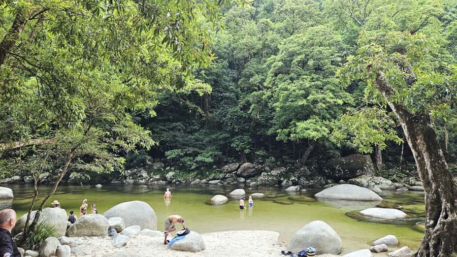 Cairns: Daintree, Mossman Gorge, & Cape Tribulation Day Trip - Should you book the Cairns to Daintree, Mossman Gorge, and Cape Tribulation day trip?