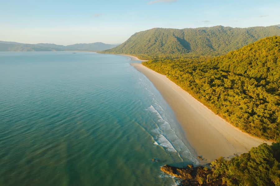Cairns: Daintree, Mossman Gorge, & Cape Tribulation Day Trip - Daintree National Park stops: Port Douglas viewpoints, botanical walking, and a ferry crossing