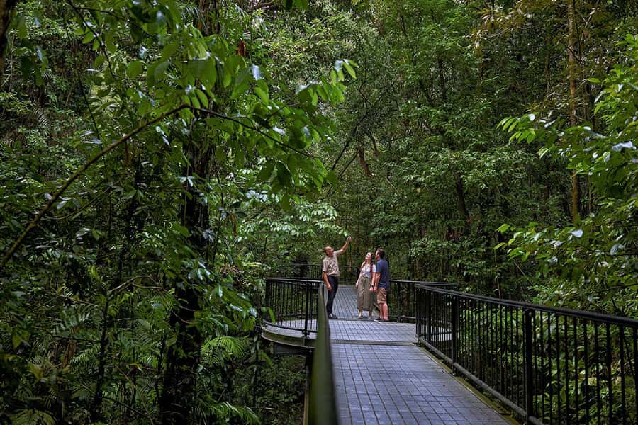 Cairns: Daintree Rainforest & Cape Tribulation Day Trip - Price and Value: Is $207 a Good Deal?