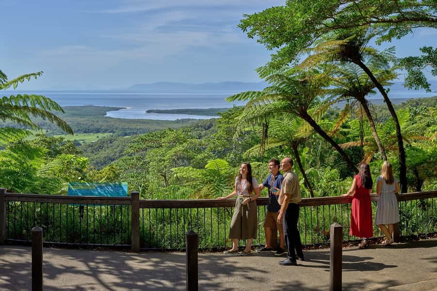 Cairns: Daintree Rainforest & Cape Tribulation Day Trip - Daintree River Cruise: Wildlife Spotting Without Guesswork