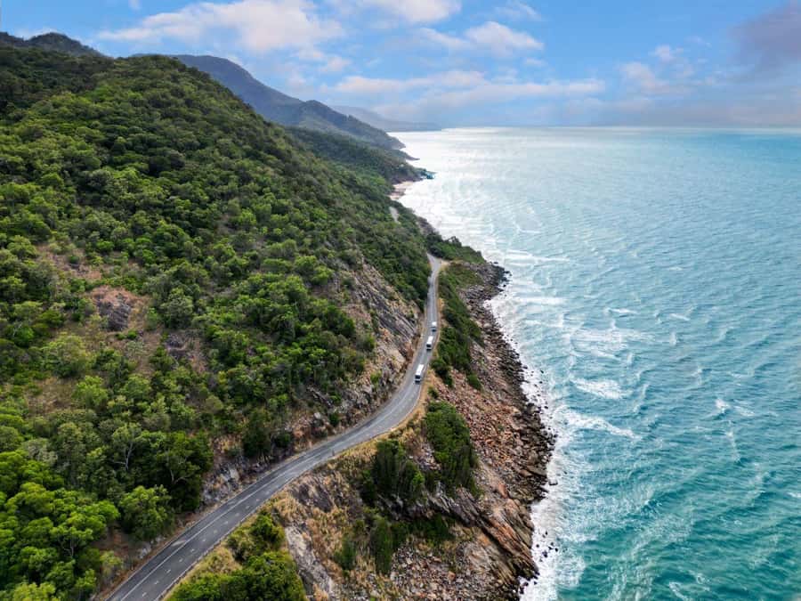 Cairns: Daintree Rainforest & Cape Tribulation Day Trip - Daintree Ice Cream Company: The Fruit-Onsite Sweet Finish