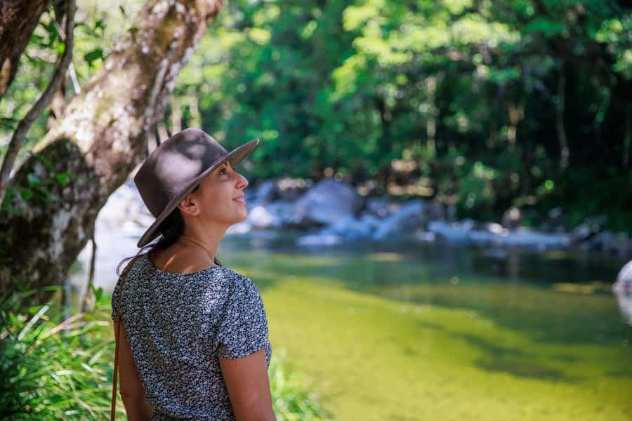 Cairns: Daintree Rainforest & Cape Tribulation Day Trip - Getting There in Comfort: Luxury Coach, Early Pickups, and Real Timing
