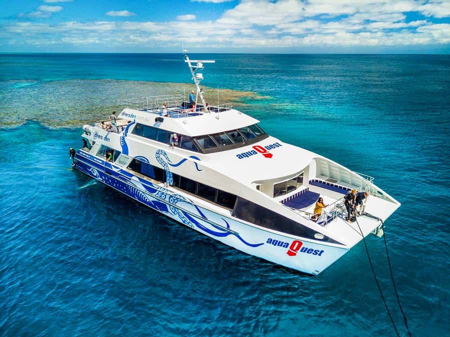 Cairns: Premium Snorkelling and Diving Reef Day Trip - Key Things You’ll Love Most on This Cairns Reef Day