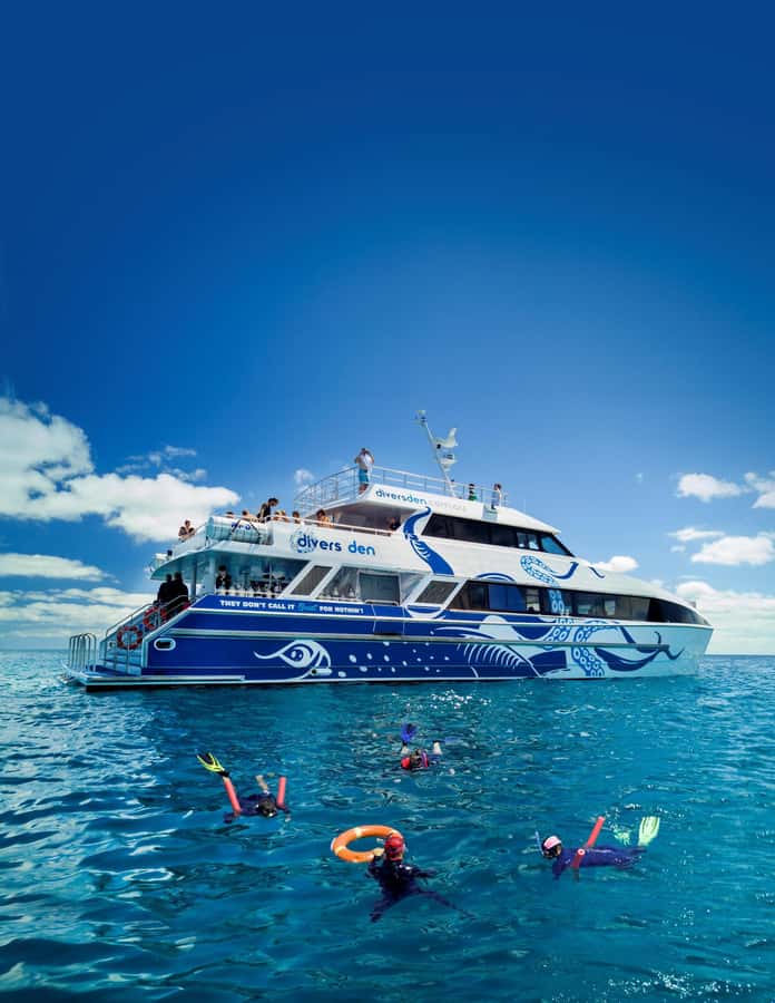 Cairns: Premium Snorkelling and Diving Reef Day Trip - What You Get for Snorkeling: Gear, Fit, and Comfort