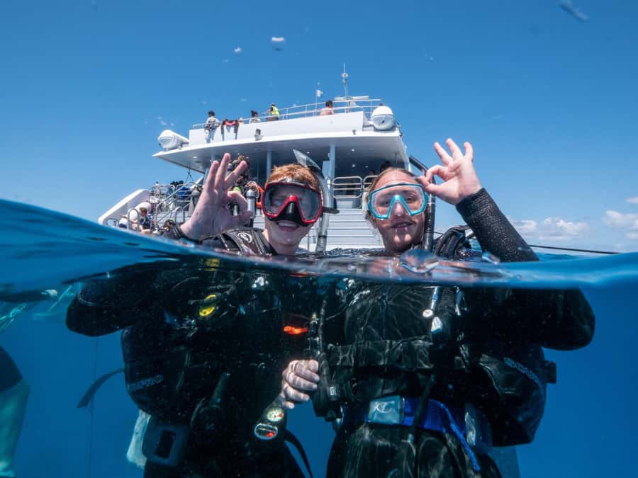 Cairns: Premium Snorkelling and Diving Reef Day Trip - First Reef Stop to Second Reef Stop: How to Make the Most of Your Time