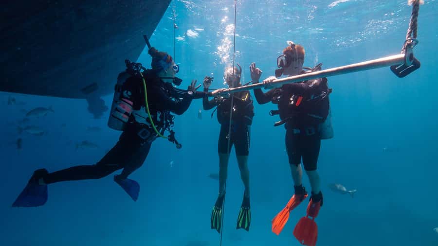 Cairns: Premium Snorkelling and Diving Reef Day Trip - Price and Value at $166: What You’re Really Paying For