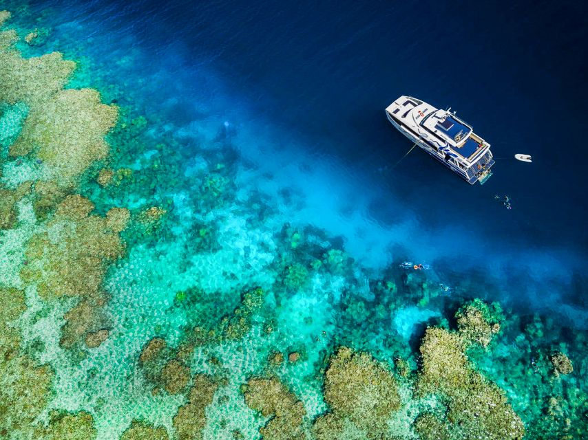Cairns: Premium Snorkelling and Diving Reef Day Trip - What to Bring (and What to Skip) for a Smooth Reef Day