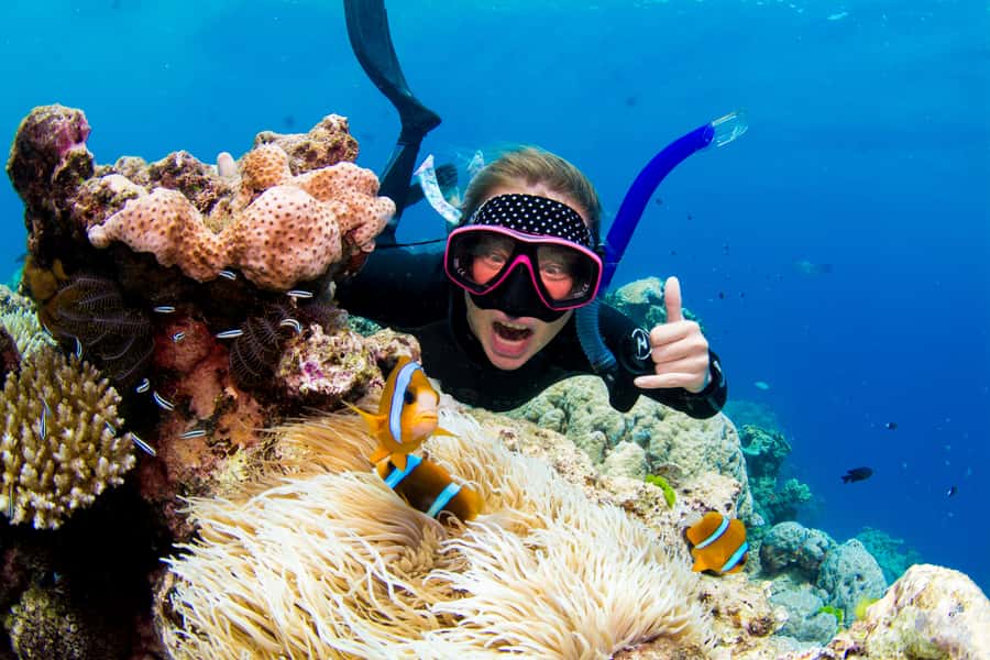Cairns: Snorkelling and Diving Reef Day Trip - Price and What You Actually Get for $240