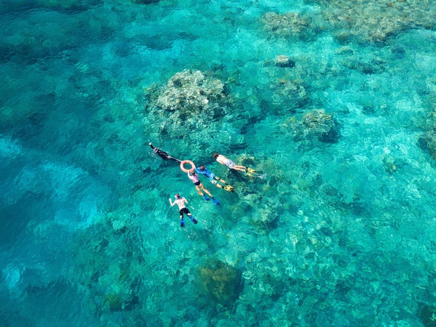 Cairns: Snorkelling and Diving Reef Day Trip - Optional First-Time Scuba for Age 12+: What to Know Before You Commit