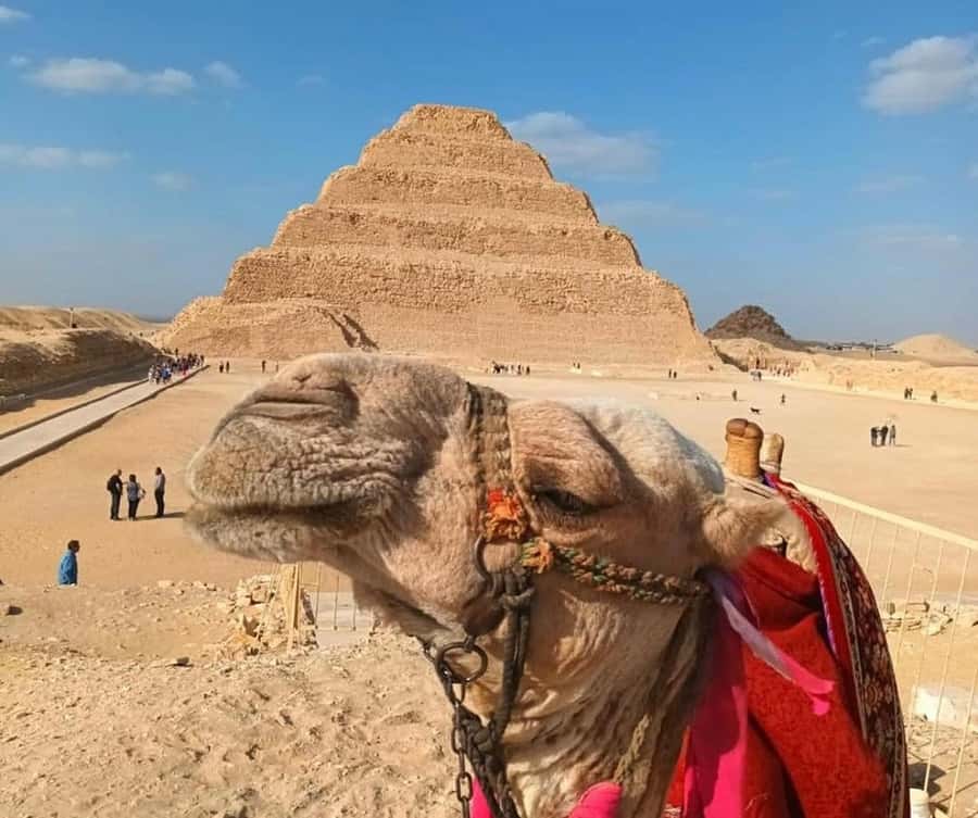 Cairo: Djoser, Bent Pyramid & Memphis Day Trip - Key things that make this trip worth your time