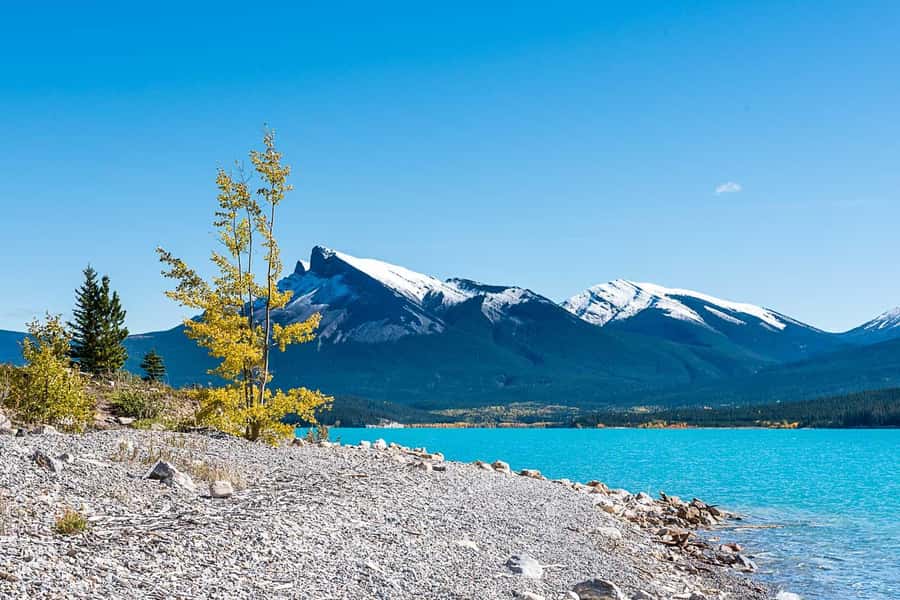 Calgary: Day Trip to Jasper with Lunch - Price and value: is $110 a fair deal for this much scenery?