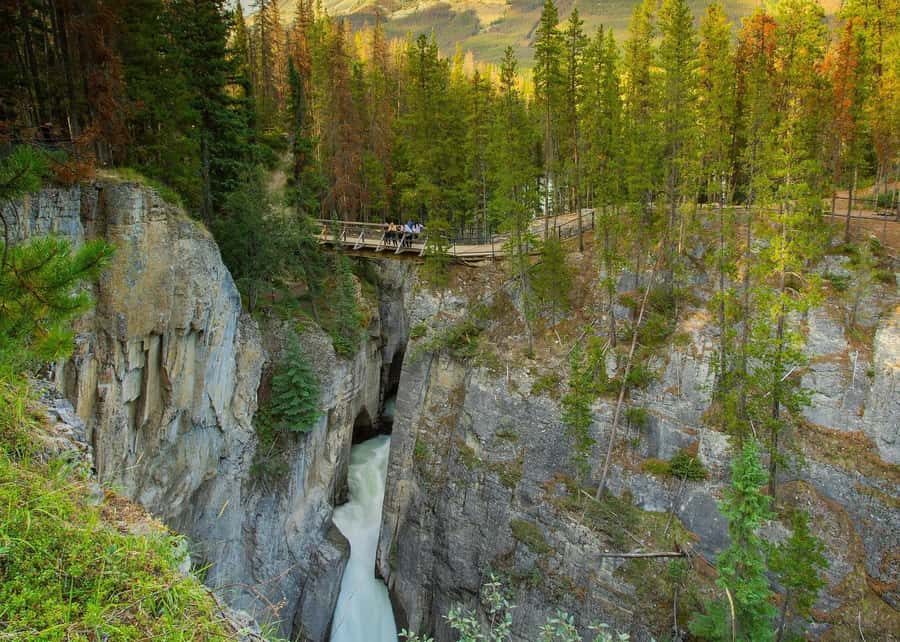 Calgary: Day Trip to Jasper with Lunch - Lunch and drinks: what you get, and why it matters on a long day