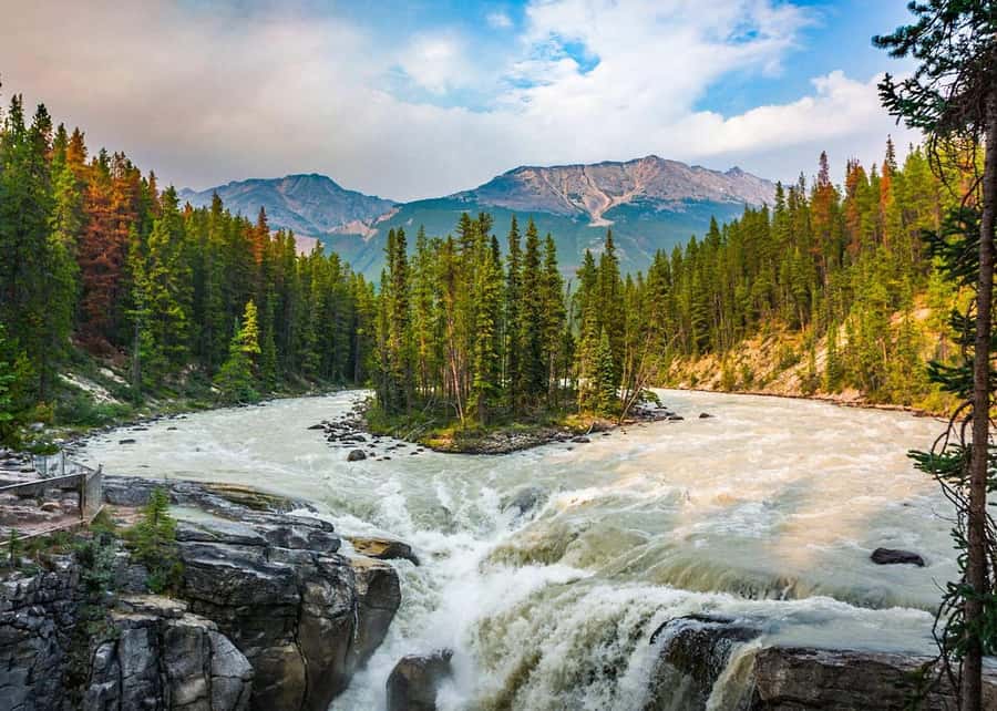 Calgary: Day Trip to Jasper with Lunch - The small-group advantage: guides like Igor and YG keep the day flowing