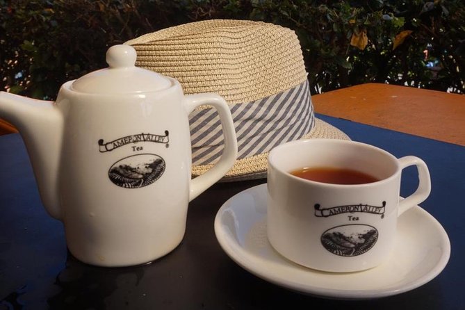 Cameron Highland Best Day Tour from Ipoh with Lunch ( Day Trip) - BOH Tea Centre (Sungei Palas Garden): tea tasting with real context