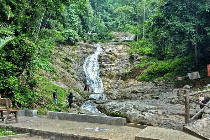 Cameron Highland Full Day Tour from KL City (Private) - Butterfly Garden and Cactus Valley: quick, included nature breaks