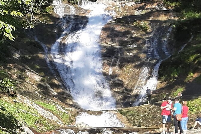 Cameron Highland Full Day Tour from KL City (Private) - How private guiding helps (when your guide is strong)