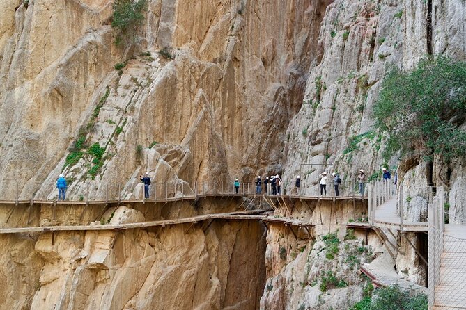 Caminito del Rey Day Trip from Costa del Sol - Price and value: is $81.06 a fair deal?