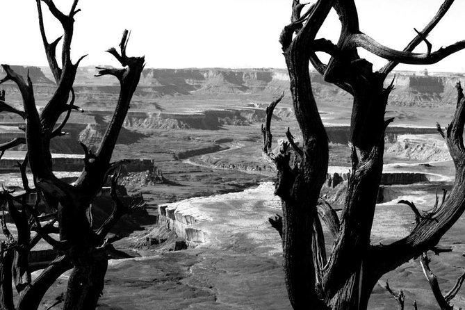 Canyonlands National Park Half-Day Tour from Moab - Comfort, safety, and what to pack for a rough-road half-day