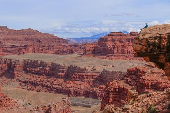 Canyonlands National Park Half-Day Tour from Moab - Timing and value: why $196.96 can make sense here