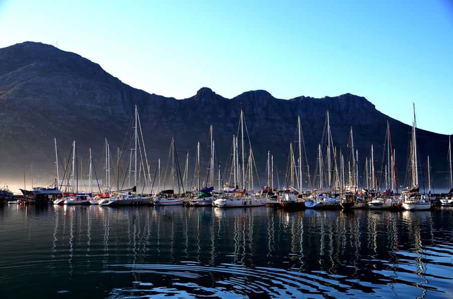 Cape Point Full-Day Tour From Cape Town - Simon’s Town and Boulders Beach penguins: choose your pace