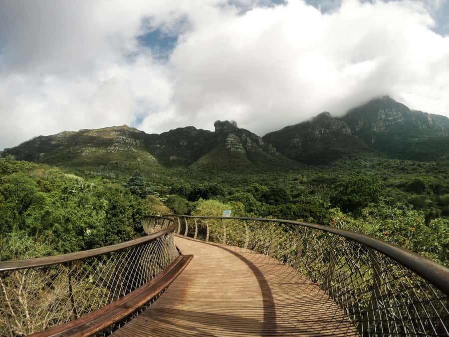 Cape Point Full-Day Tour From Cape Town - Price and value: why $113 can feel fair