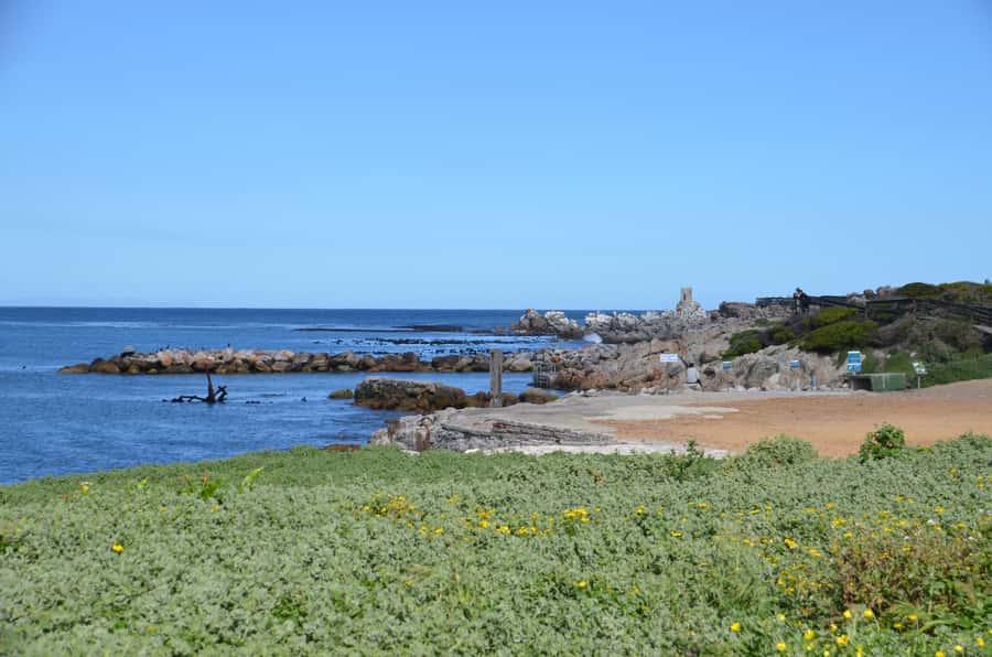 Cape Point Full-Day Tour From Cape Town - Who this tour suits best