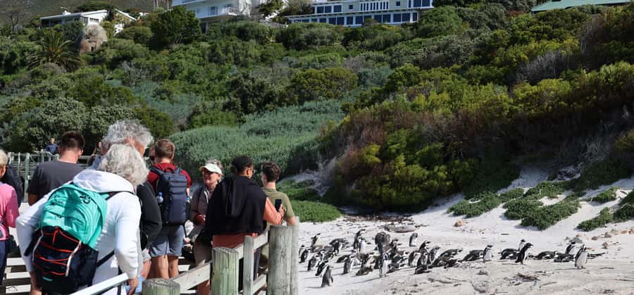 Cape Town: Cape Peninsula & Table Mountain Private Day Trip - Key things to know before you go