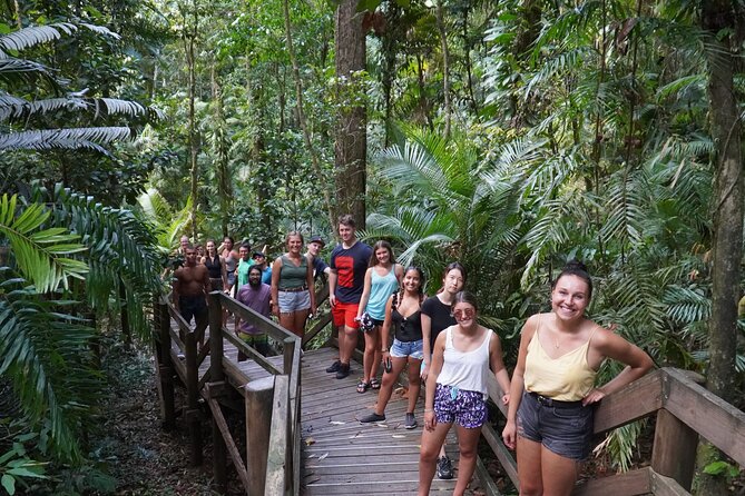 Cape Tribulation Day Tour from Cairns - Key highlights you’ll feel from the start