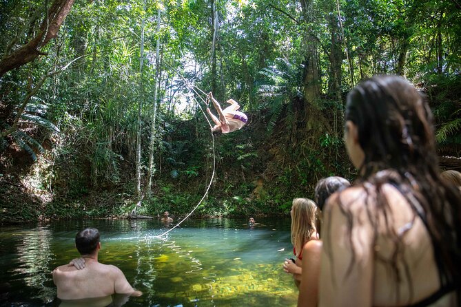 Cape Tribulation Day Tour from Cairns - Why this Cape Tribulation day tour from Cairns beats driving yourself