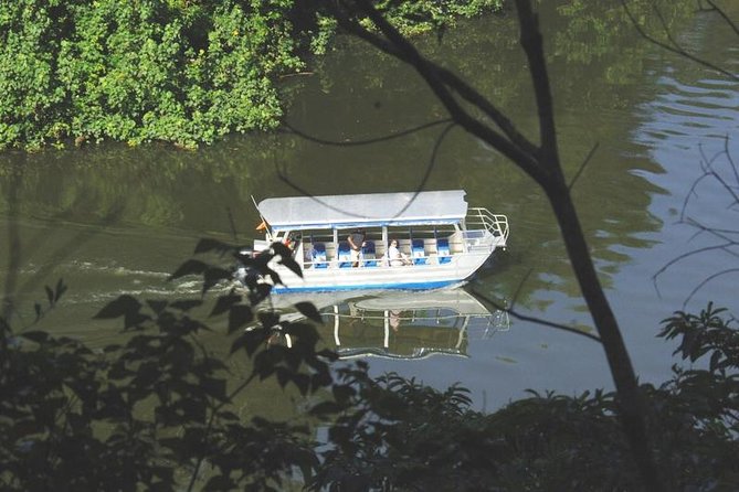 Cape Tribulation Day Tour from Cairns - Daintree National Park: ferry crossing plus old-growth rainforest road time