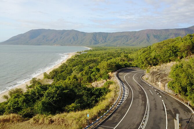 Cape Tribulation, Mossman Gorge, and Daintree Rainforest Day Trip - Dubuji Boardwalk Guided Rainforest Walk: Easy Trail, Real Forest Feeling