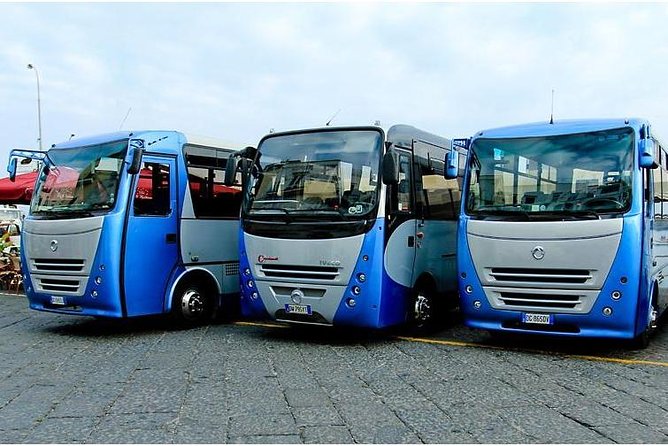 CAPRI - DIY Day Trip Package - BoatTour, BlueGrotto,Bus&Lunch - Price and Value: What $131.26 Is Buying You