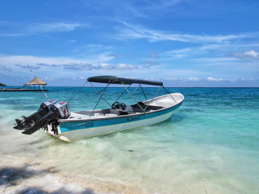 Cartagena: Rosario Island and Mangroves Private Day Trip - Rosario Islands: snorkeling stops and beach time that actually lets you breathe