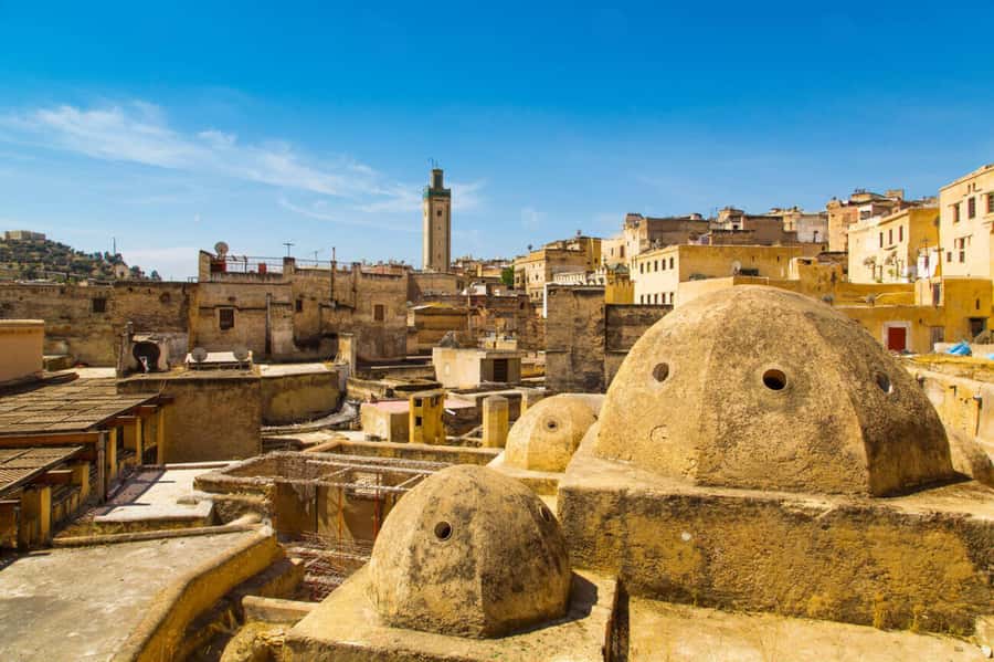Casablanca to Fez: Scenic & Historical Day Trip with Lunch - Nejjar tannery and the Mellah: two parts of Fez with different stories