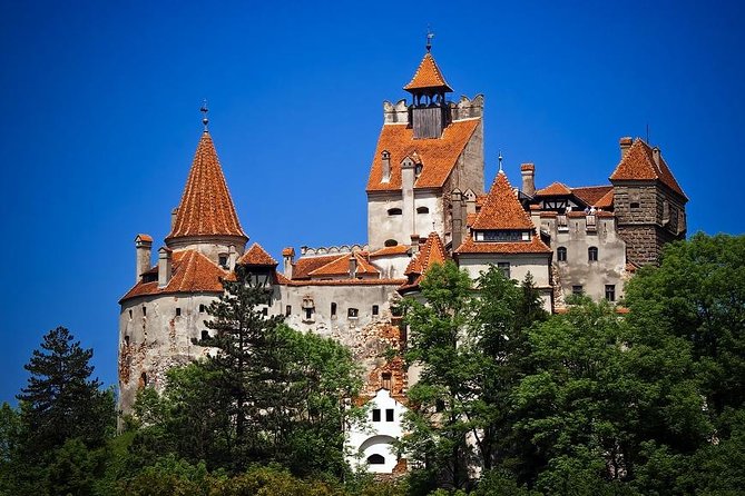 Castles of Transylvania: Private Day Trip from Bucharest - Brasov walking tour: Black Church, towers, and street-level magic