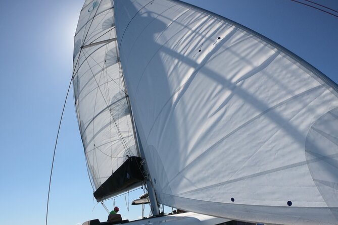 Catamaran Alghero, Catamaran Sailing Day Trip - Who this trip is best for (and who should reconsider)