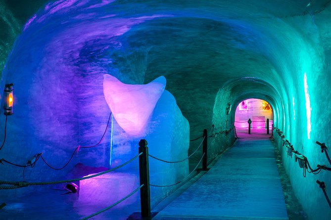 Chamonix and Mont-Blanc Independent Day Trip from Geneva - Who should book this trip, and who should consider alternatives