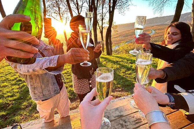 Champagne and Reims Tasting Day Trip from Paris - Montagne de Reims: lunch with a sense of place