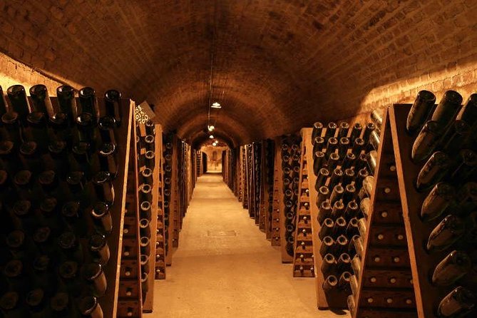 Champagne and Reims Tasting Day Trip from Paris - Champagne tasting education: more than a sip-and-smile