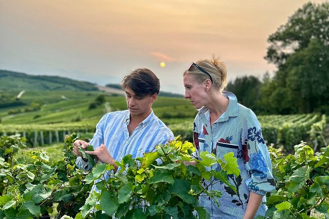 Champagne Day Trip from Paris with 8 Tastings & Lunch - Champagne Day Trip From Paris: What You Actually Get for the Day