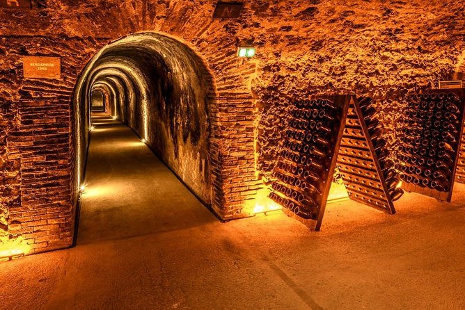 Champagne Small-Group Day Trip with Lunch and Tastings from Paris - Price and Value: Is $422.23 a Deal?