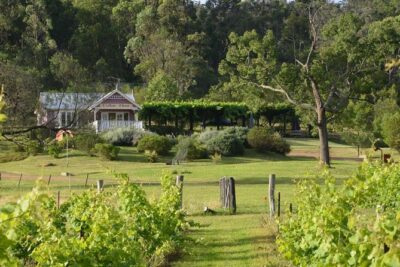 Chef-Led Hunter Valley Gourmet Food and Wine Day Tour from Sydney - From Sydney pickup to the drive break: getting the day to flow