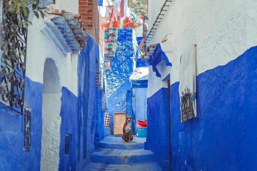 Chefchaouen Day Trip from Fez (Shared Group Tour) - A Long, Scenic Drive Out of Fez (What You’re Buying for $20)